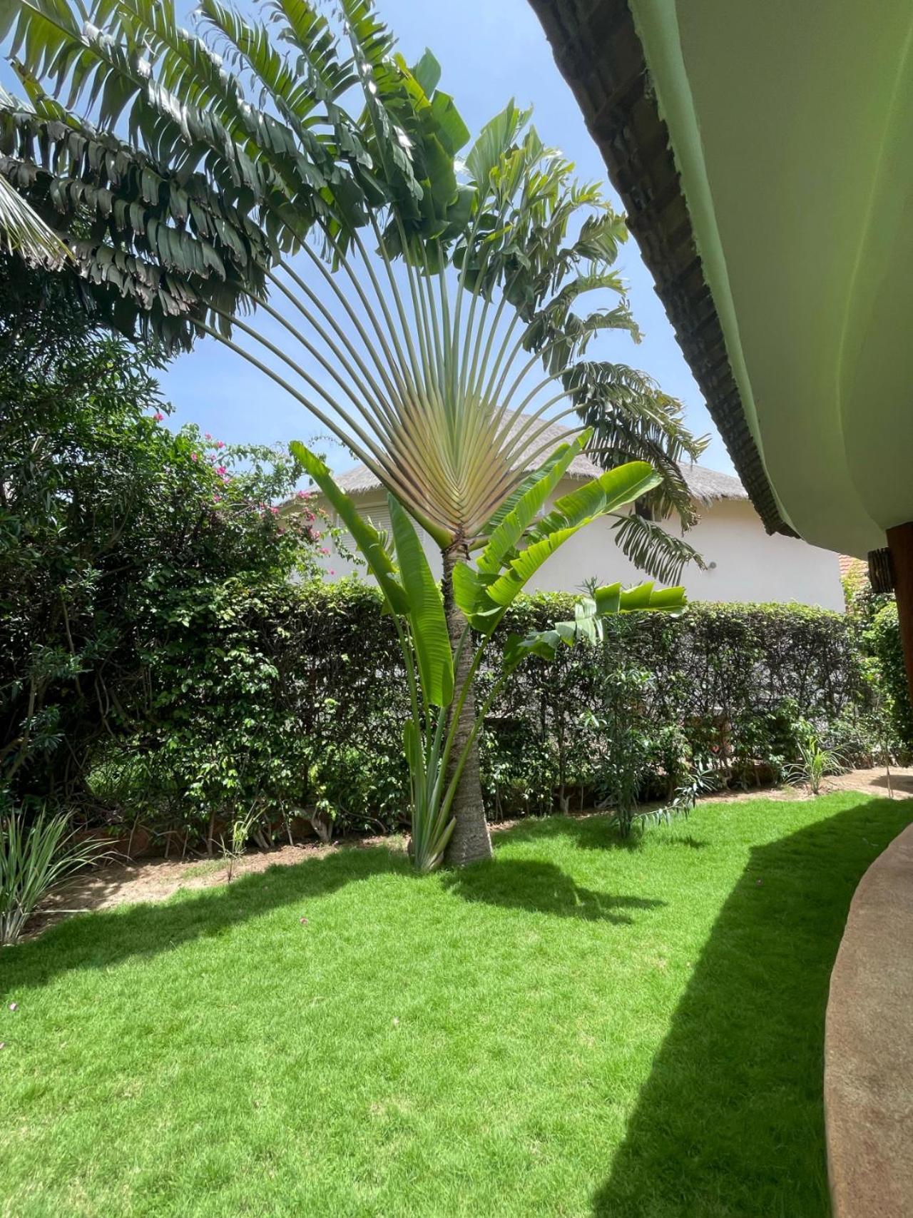 Agence Adjana Resort - Residence Du Port 3 Sali Tapé エクステリア 写真