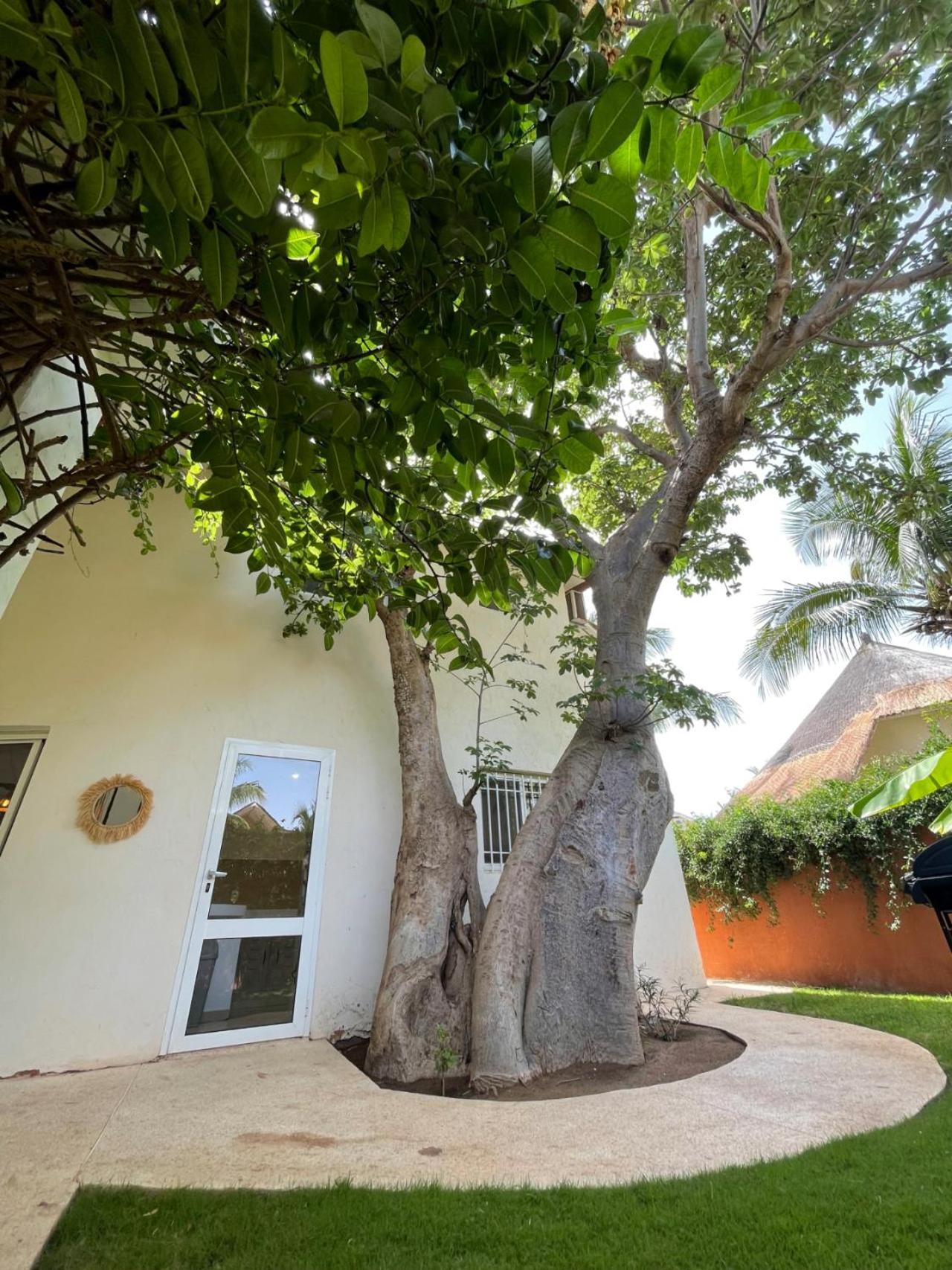 Agence Adjana Resort - Residence Du Port 3 Sali Tapé エクステリア 写真